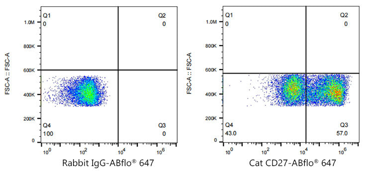ABflo® 647 Rabbit anti-Cat CD27 mAb