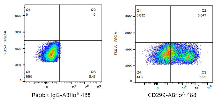 ABflo® 488 Rabbit anti-Human DC-SIGNR/CD299 mAb