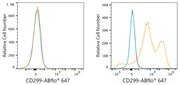 ABflo® 647 Rabbit anti-Human DC-SIGNR/CD299 mAb