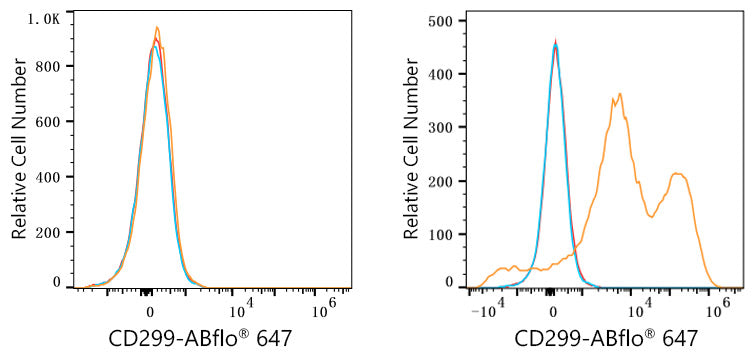 ABflo® 647 Rabbit anti-Human DC-SIGNR/CD299 mAb