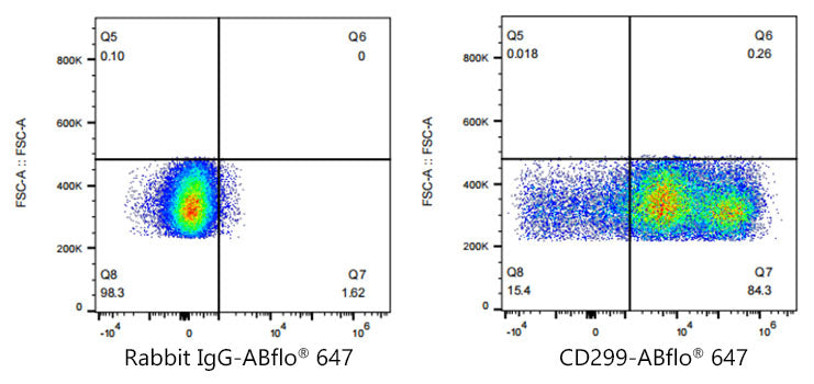 ABflo® 647 Rabbit anti-Human DC-SIGNR/CD299 mAb