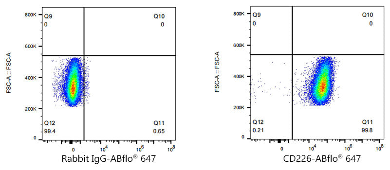 ABflo® 647 Rabbit anti-Human CD226/DNAM-1 mAb