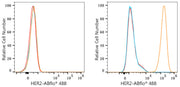 ABflo® 488 Rabbit anti-Human HER2/ErbB2 mAb