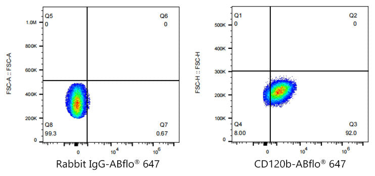 ABflo® 647 Rabbit anti-Human CD120b/TNFRSF1B mAb