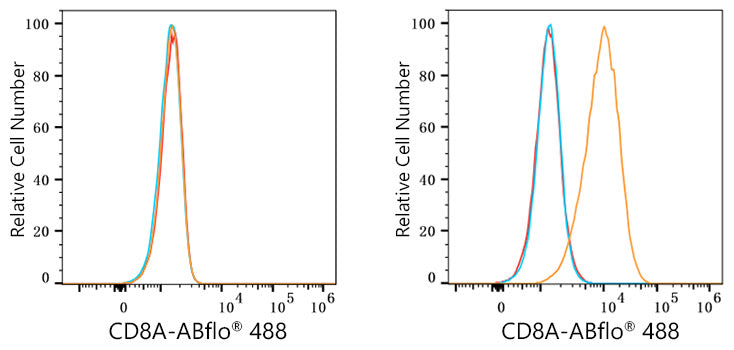 ABflo® 488 Rabbit anti-Human/Monkey CD8a mAb