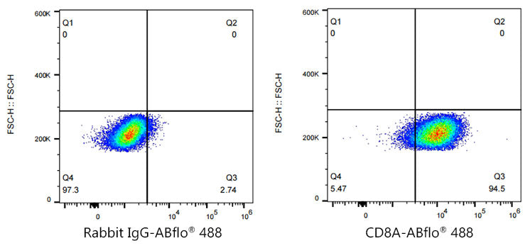 ABflo® 488 Rabbit anti-Human/Monkey CD8a mAb