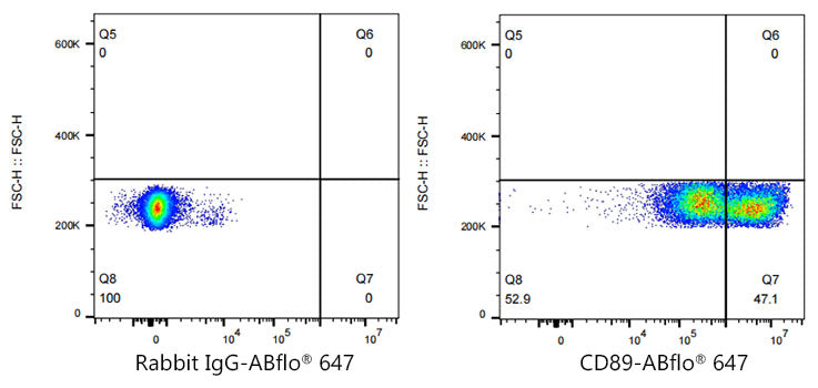 ABflo® 647 Rabbit anti-Human CD89 mAb
