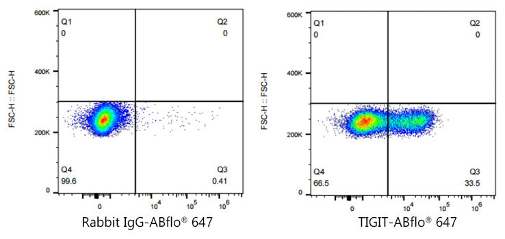 ABflo® 647 Rabbit anti-Human TIGIT mAb