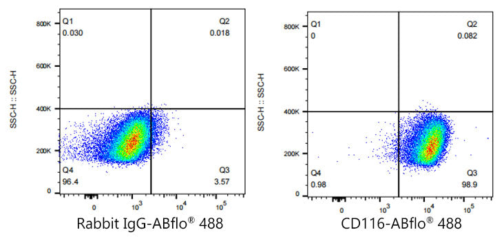 ABflo® 488 Rabbit anti-Human CD116 mAb