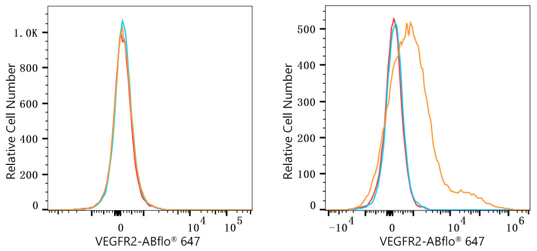 ABflo® 647 Rabbit anti-Human VEGFR2/CD309 mAb