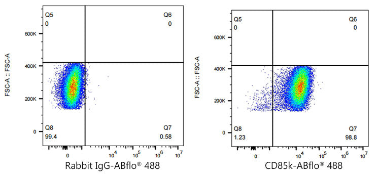ABflo® 488 Rabbit anti-Human LILRB4/CD85k/ILT3 mAb
