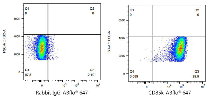 ABflo® 647 Rabbit anti-Human LILRB4/CD85k/ILT3 mAb