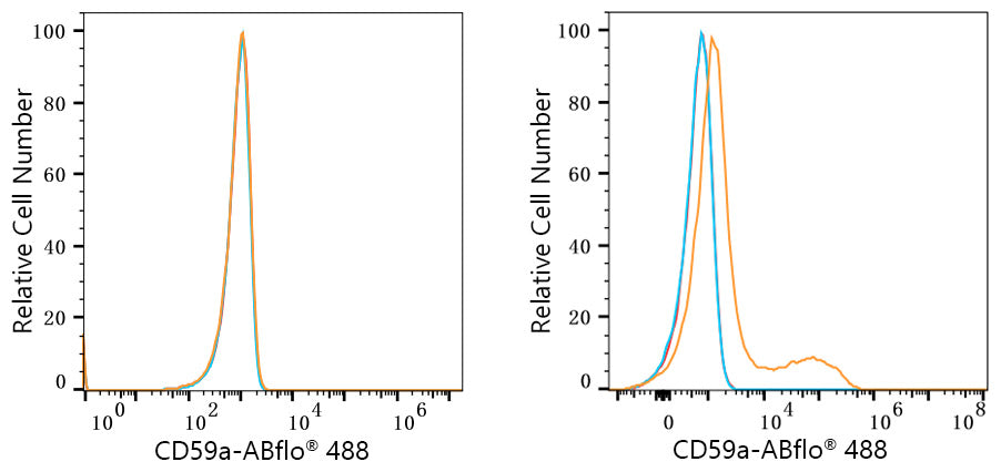 ABflo® 488 Rabbit anti-Mouse CD59a mAb