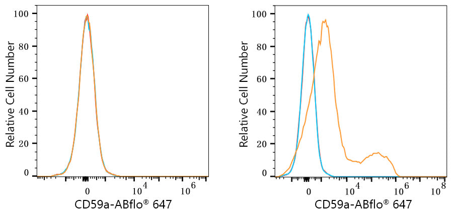 ABflo® 647 Rabbit anti-Mouse CD59a mAb