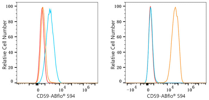 ABflo® 594 Rabbit anti-Human CD59 mAb