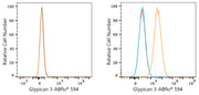 ABflo® 594 Rabbit anti-Human Glypican 3 (GPC3) mAb