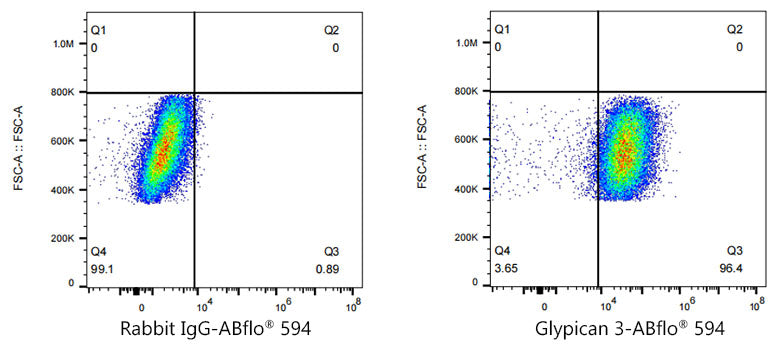ABflo® 594 Rabbit anti-Human Glypican 3 (GPC3) mAb