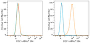 ABflo® 594 Rabbit anti-Human CR2/CD21 mAb