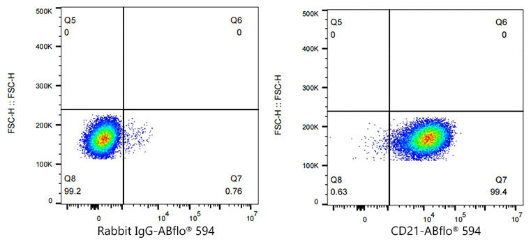 ABflo® 594 Rabbit anti-Human CR2/CD21 mAb