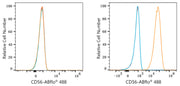 ABflo® 488 Rabbit anti-Mouse CD56/NCAM mAb