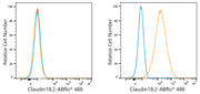 ABflo® 488 Rabbit anti-Human Claudin18.2 mAb