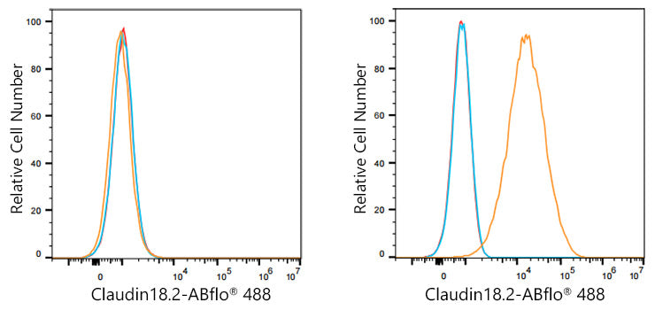 ABflo® 488 Rabbit anti-Human Claudin18.2 mAb