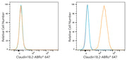 ABflo® 647 Rabbit anti-Human Claudin18.2 mAb