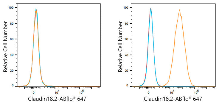 ABflo® 647 Rabbit anti-Human Claudin18.2 mAb
