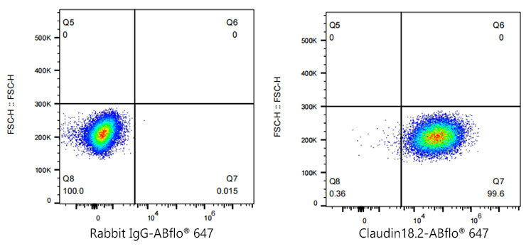 ABflo® 647 Rabbit anti-Human Claudin18.2 mAb