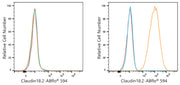 ABflo® 594 Rabbit anti-Human Claudin18.2 mAb