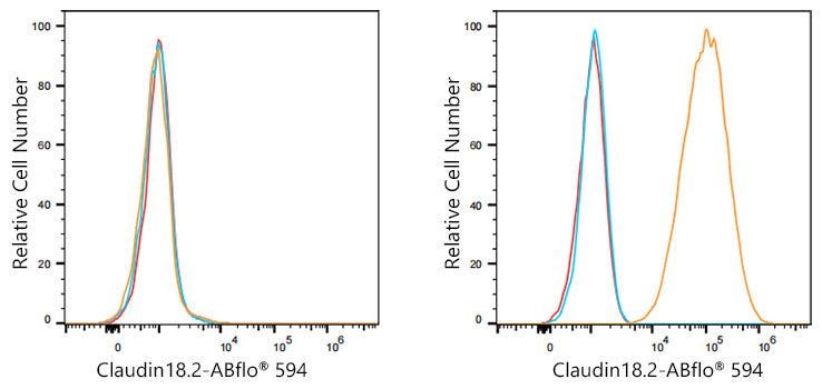 ABflo® 594 Rabbit anti-Human Claudin18.2 mAb