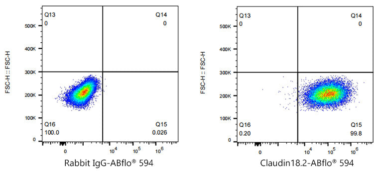 ABflo® 594 Rabbit anti-Human Claudin18.2 mAb