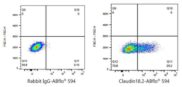 ABflo® 594 Rabbit anti-Human Claudin18.2 mAb