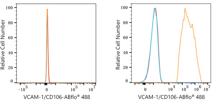 ABflo® 488 Rabbit anti-Human VCAM-1/CD106 mAb