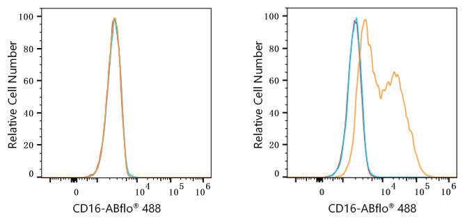 ABflo® 488 Rabbit anti-Human/Monkey CD16 mAb