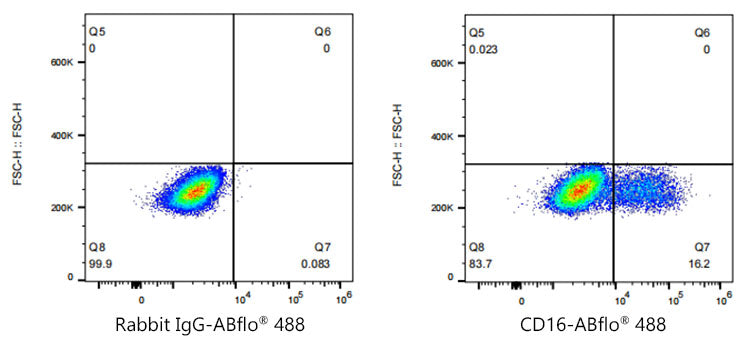 ABflo® 488 Rabbit anti-Human/Monkey CD16 mAb