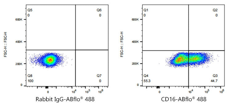 ABflo® 488 Rabbit anti-Human/Monkey CD16 mAb