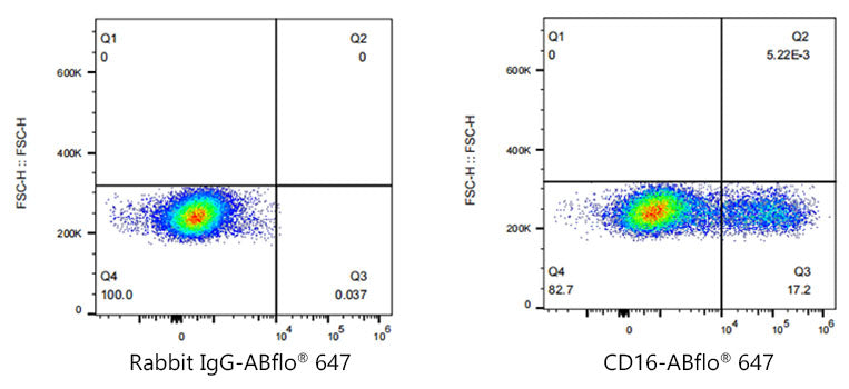 ABflo® 647 Rabbit anti-Human/Monkey CD16 mAb