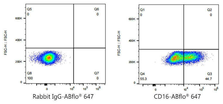 ABflo® 647 Rabbit anti-Human/Monkey CD16 mAb