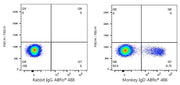 ABflo® 488 Rabbit anti-NHP IgD mAb