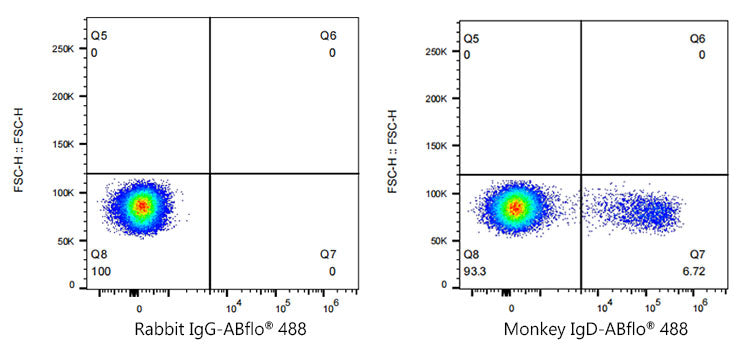 ABflo® 488 Rabbit anti-NHP IgD mAb