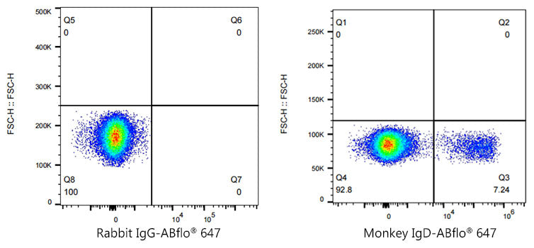 ABflo® 647 Rabbit anti-NHP IgD mAb