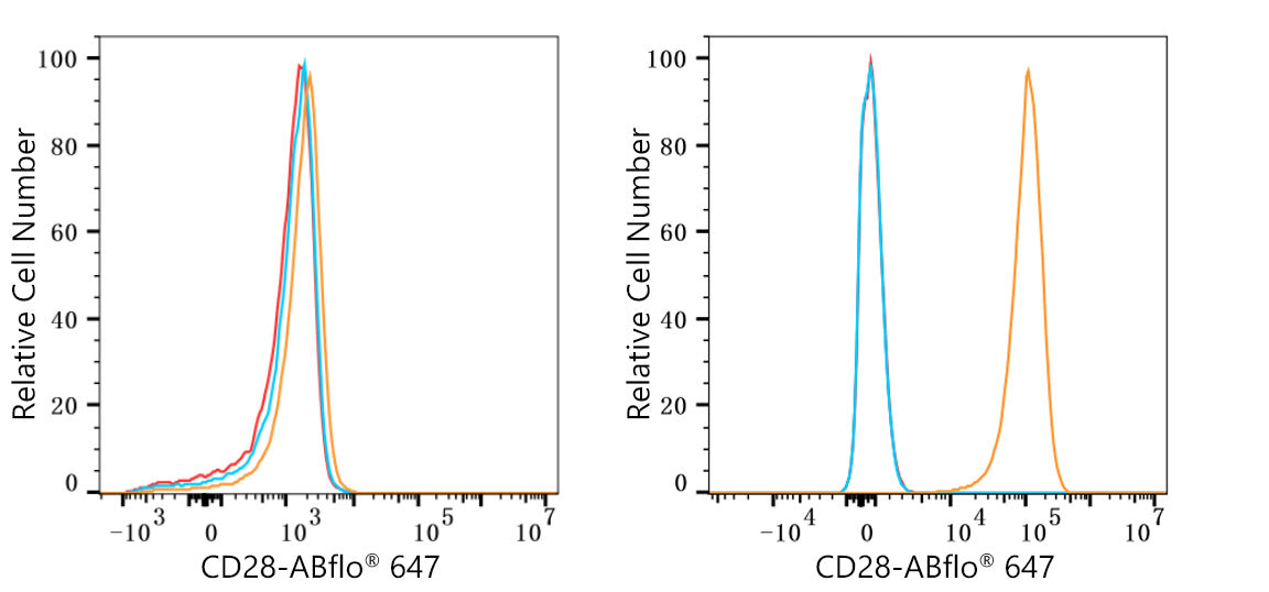 ABflo® 647 Rabbit anti-Human CD28 mAb