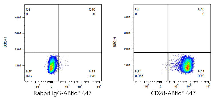 ABflo® 647 Rabbit anti-Human CD28 mAb