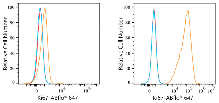 ABflo® 647 Rabbit anti-Human/Monkey Ki67 mAb