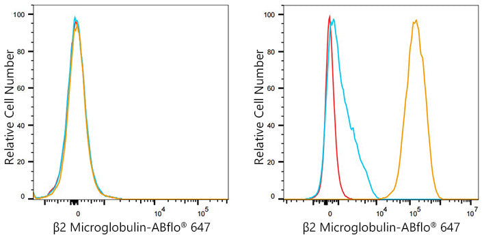 [KD Validated] beta 2 Microglobulin Rabbit mAb