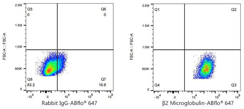 [KD Validated] beta 2 Microglobulin Rabbit mAb
