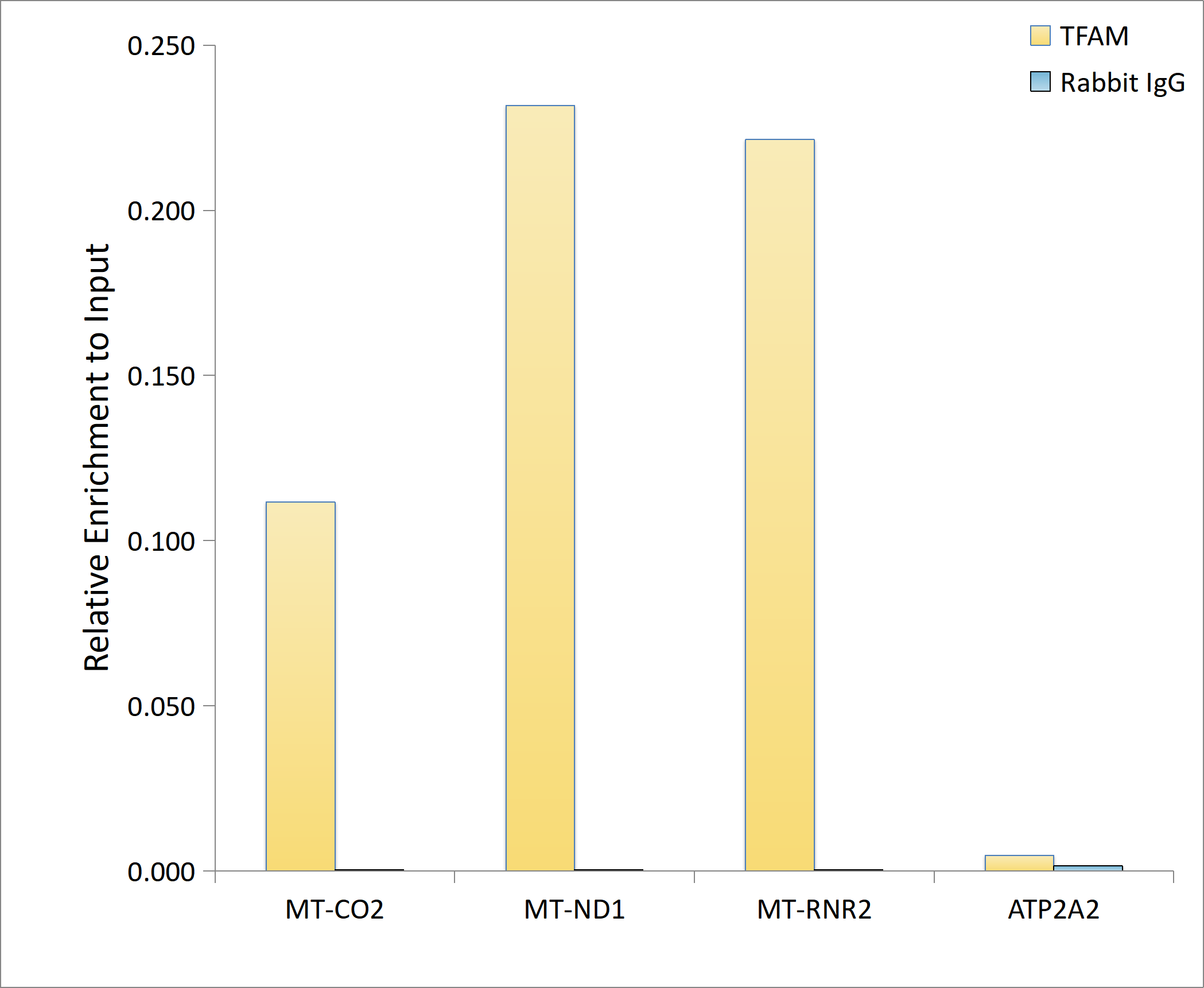 TFAM Rabbit mAb
