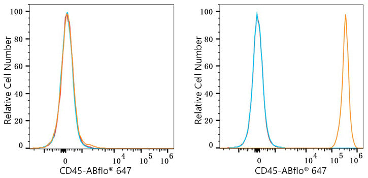 CD45 Rabbit mAb