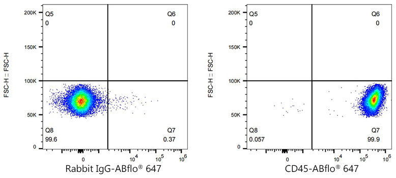 CD45 Rabbit mAb